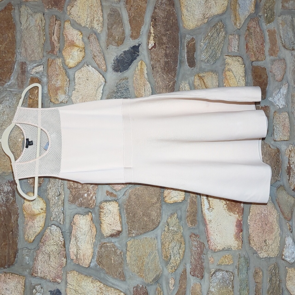 Ann Taylor cream mesh panel fit flare dress